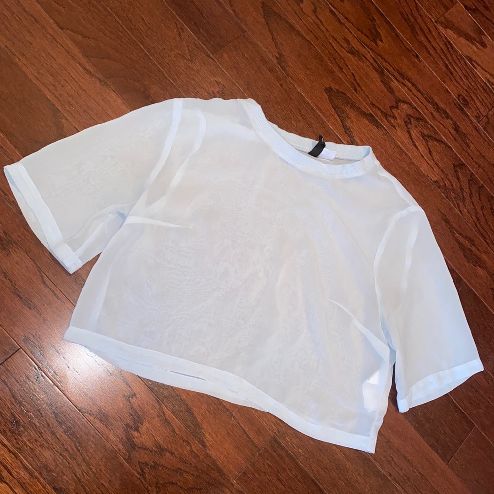 H&M sheer baby blue crop top